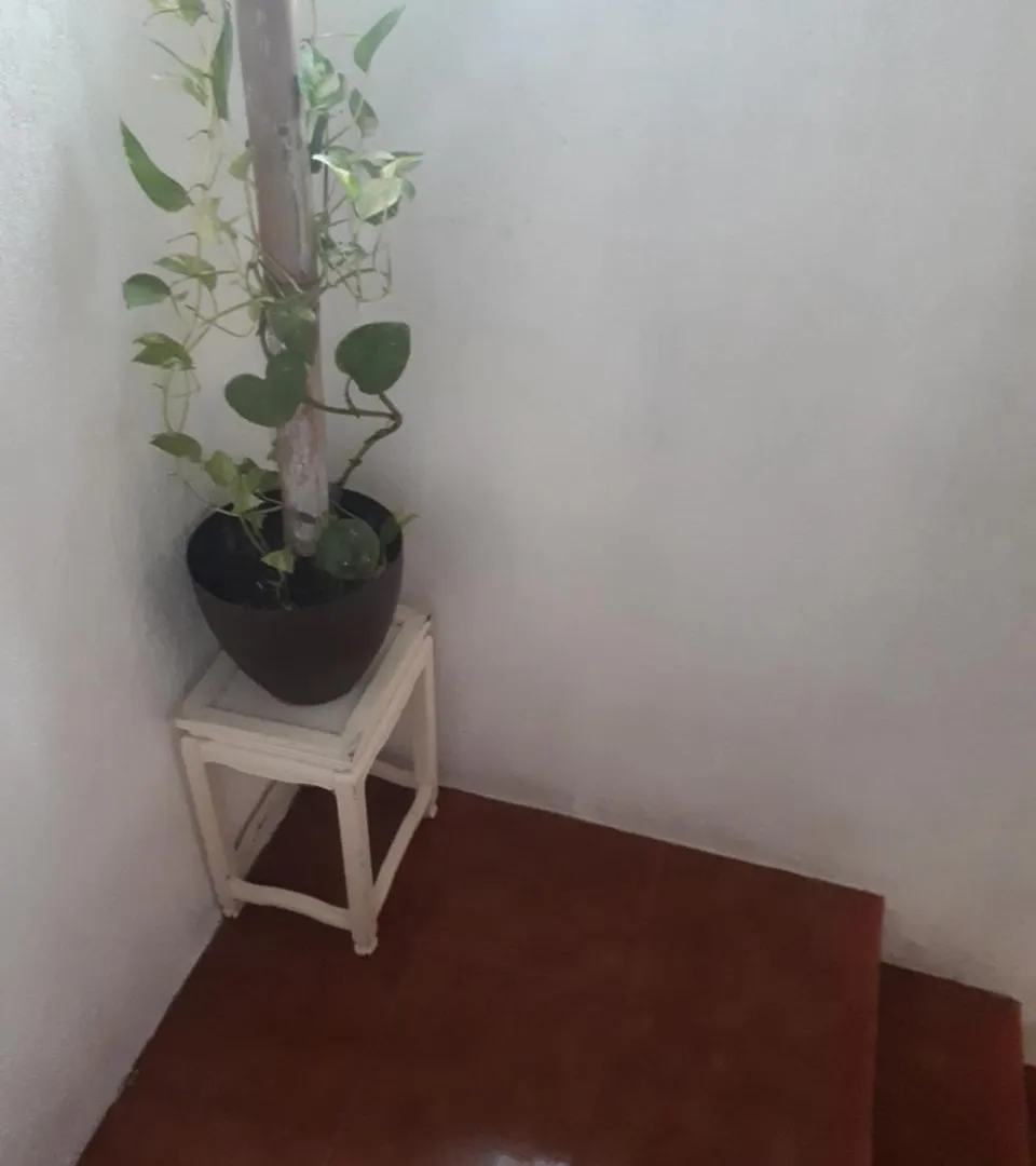 Mariposas Rooms Канкун Мексика